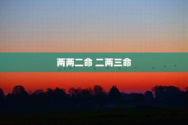 两两二命 二两三命