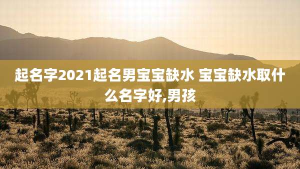 起名字2021起名男宝宝缺水 宝宝缺水取什么名字好,男孩