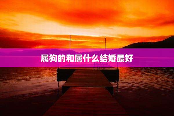属狗的和属什么结婚最好
