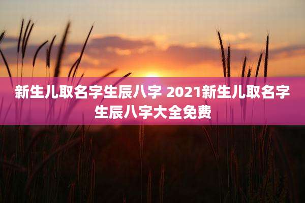 新生儿取名字生辰八字 2021新生儿取名字生辰八字大全免费