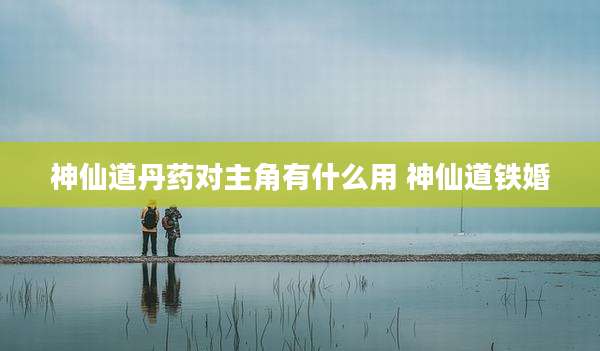神仙道丹药对主角有什么用 神仙道铁婚