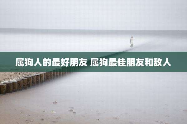 属狗人的最好朋友 属狗最佳朋友和敌人