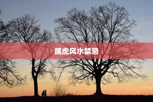 属虎风水禁忌