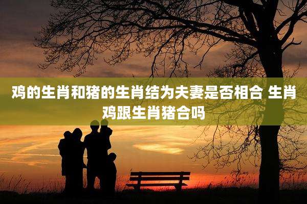 鸡的生肖和猪的生肖结为夫妻是否相合 生肖鸡跟生肖猪合吗