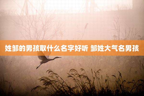 姓邹的男孩取什么名字好听 邹姓大气名男孩
