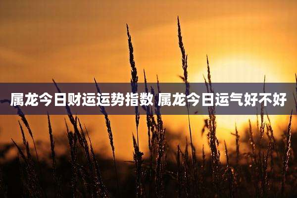 属龙今日财运运势指数 属龙今日运气好不好