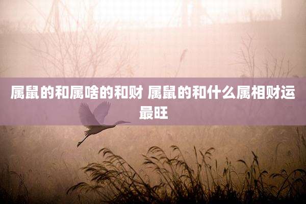 属鼠的和属啥的和财 属鼠的和什么属相财运最旺