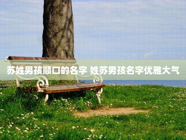 苏姓男孩顺口的名字 姓苏男孩名字优雅大气