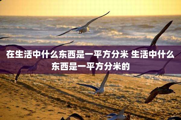在生活中什么东西是一平方分米 生活中什么东西是一平方分米的