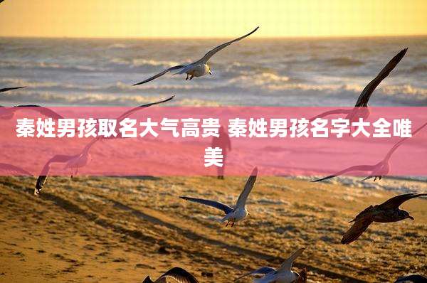 秦姓男孩取名大气高贵 秦姓男孩名字大全唯美