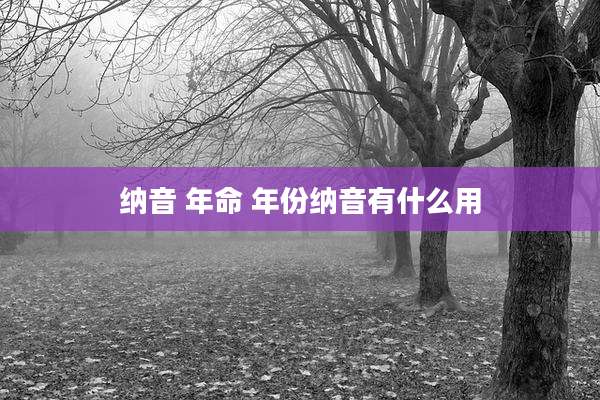 纳音 年命 年份纳音有什么用