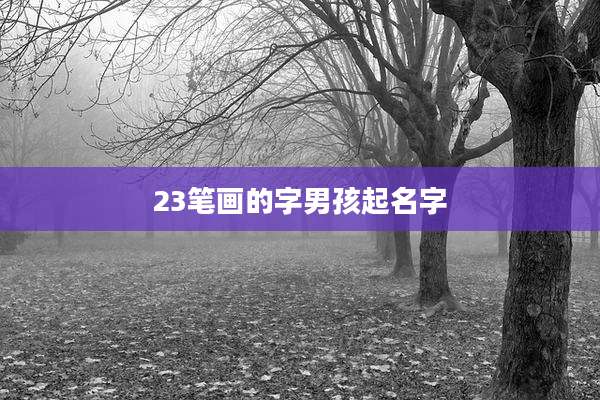 23笔画的字男孩起名字