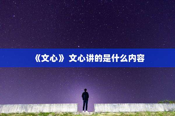 《文心》 文心讲的是什么内容
