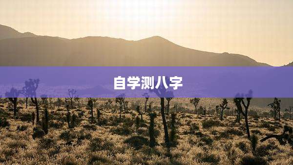 自学测八字