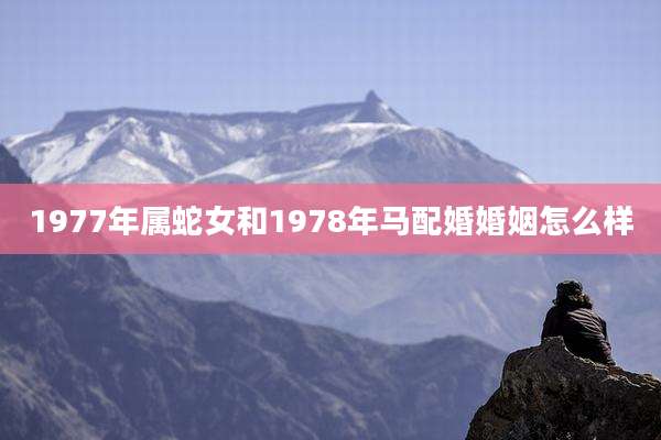 1977年属蛇女和1978年马配婚婚姻怎么样