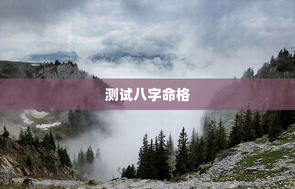 测试八字命格