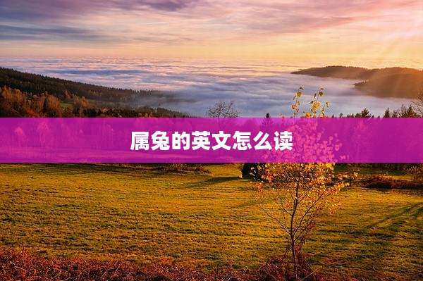 属兔的英文怎么读