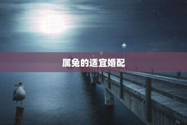 属兔的适宜婚配