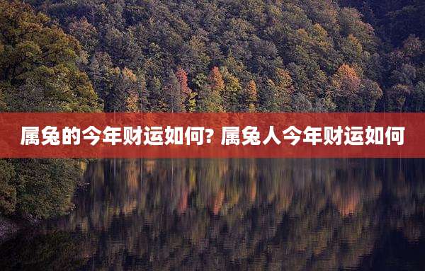 属兔的今年财运如何? 属兔人今年财运如何