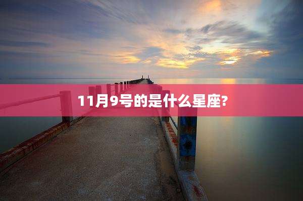 11月9号的是什么星座?