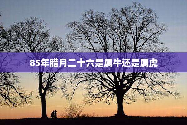 85年腊月二十六是属牛还是属虎