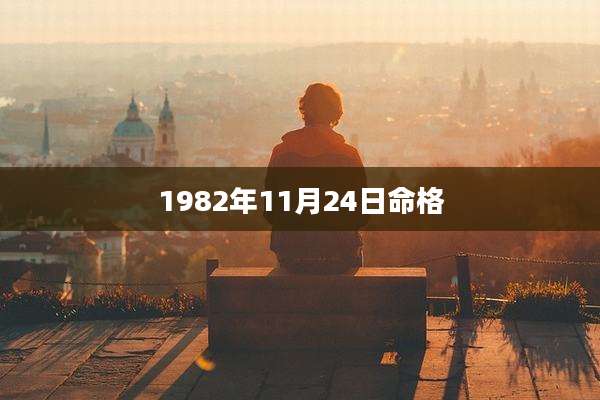 1982年11月24日命格
