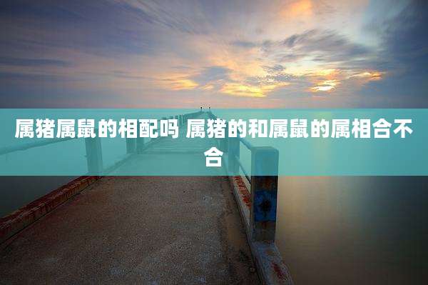 属猪属鼠的相配吗 属猪的和属鼠的属相合不合