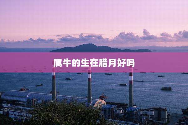 属牛的生在腊月好吗