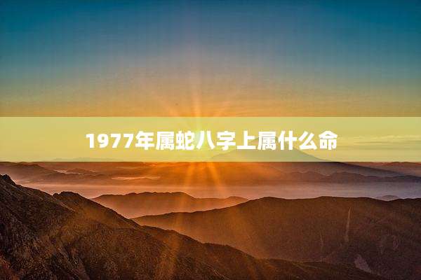 1977年属蛇八字上属什么命