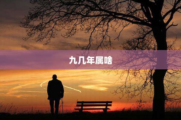 九几年属啥
