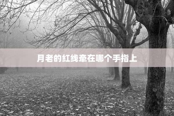 月老的红线牵在哪个手指上