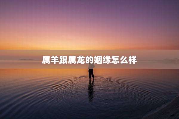属羊跟属龙的姻缘怎么样