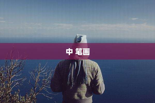 中 笔画