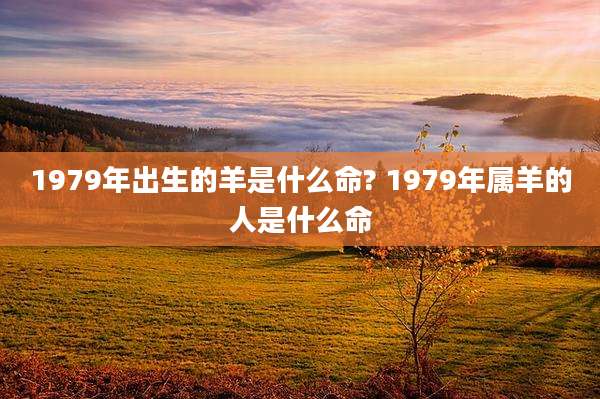 1979年出生的羊是什么命? 1979年属羊的人是什么命