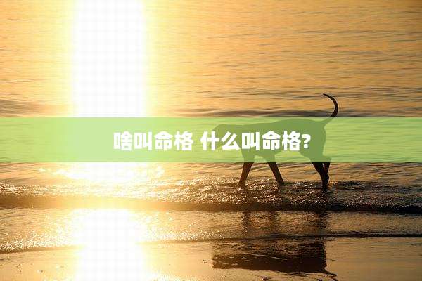 啥叫命格 什么叫命格?