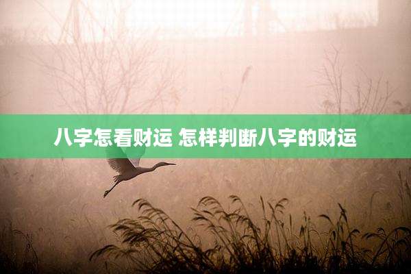 八字怎看财运 怎样判断八字的财运