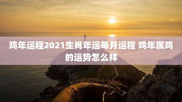 鸡年运程2021生肖年运每月运程 鸡年属鸡的运势怎么样