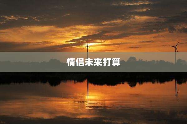 情侣未来打算