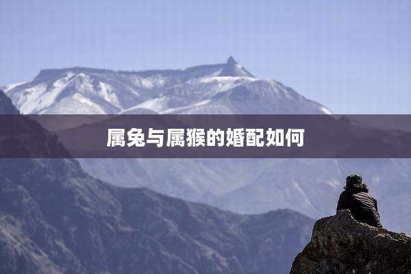 属兔与属猴的婚配如何