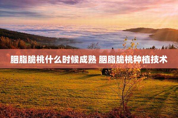 胭脂脆桃什么时候成熟 胭脂脆桃种植技术