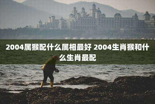 2004属猴配什么属相最好 2004生肖猴和什么生肖最配