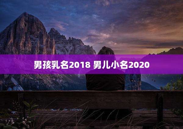 男孩乳名2018 男儿小名2020