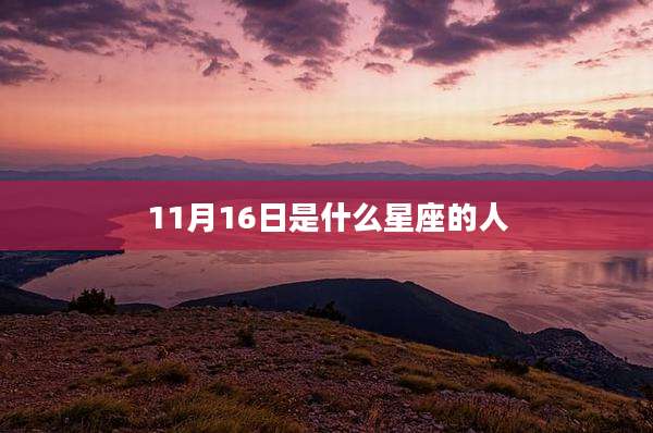 11月16日是什么星座的人