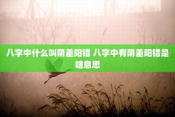 八字中什么叫阴差阳错 八字中有阴差阳错是啥意思