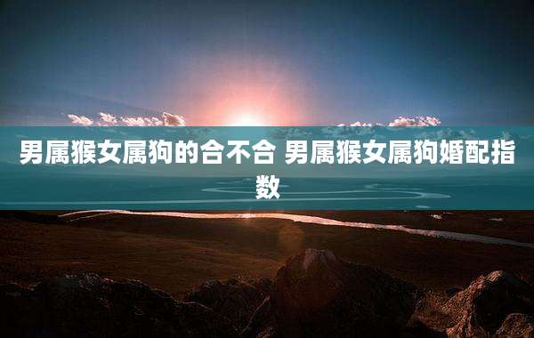 男属猴女属狗的合不合 男属猴女属狗婚配指数