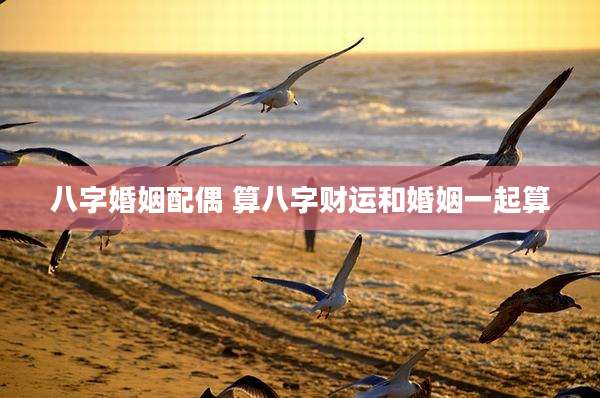 八字婚姻配偶 算八字财运和婚姻一起算