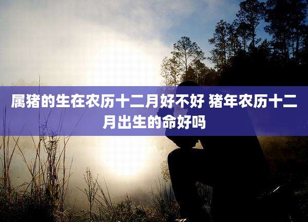 属猪的生在农历十二月好不好 猪年农历十二月出生的命好吗