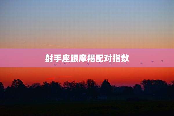 射手座跟摩羯配对指数