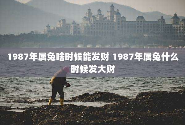 1987年属兔啥时候能发财 1987年属兔什么时候发大财