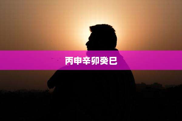丙申辛卯癸巳